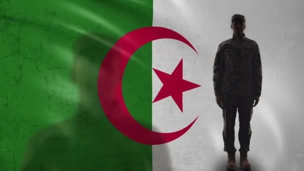 Algeriska soldat Silhouette salutera mot nationella flaggan, militära styrkor — Stockvideo