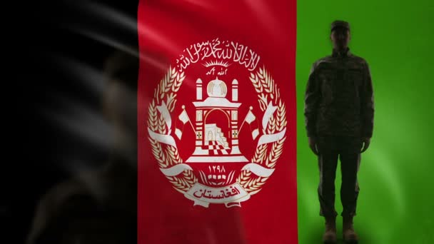 Silhouette de soldat afghan saluant contre drapeau national, loi martiale, défense — Video