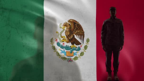 Mexicaanse soldaat silhouet saluting tegen nationale vlag, bescherming gebied — Stockvideo