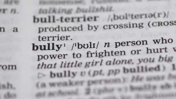 Bully, word pointed in english vocabulary, aggressive person humiliating others — Stock Video
