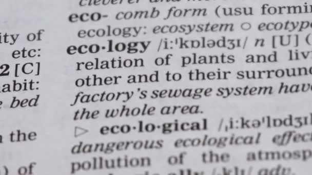 Ecologia parola punta nel vocabolario terra protezione dell'ambiente e conservazione — Video Stock