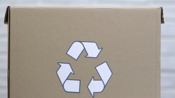 Plastik şişeleri geri dönüşüm kutusuna atan kadın, ekoloji için atık ayıklama — Stok video