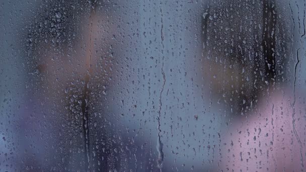 Tender husband embracing wife behind rainy window, trustful family relations — Stock Video