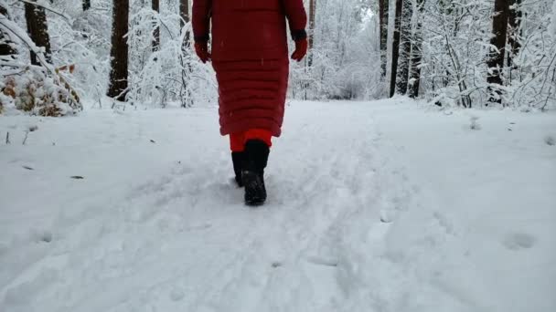 Persona caminando lentamente en el bosque cubierto de nieve cerca del complejo de invierno, vista trasera — Vídeos de Stock