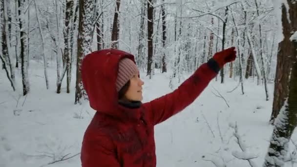 Mujer joven tocando árboles cubiertos de nieve, divirtiéndose en el bosque de invierno, la naturaleza — Vídeos de Stock