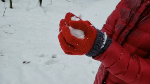 人は手に雪のボールをクラッシュし、冬の自然を楽しんで、エンターテイメント — ストック動画