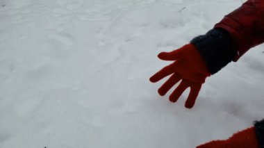 Yerden kar alan, ormanda güzel kış doğasının tadını çıkaran kişi