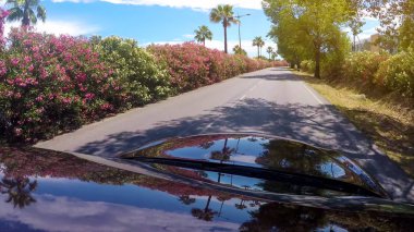 Ülke yol boyunca otomobil sürüş, palmiye ağaçları ve çiçekli çalılar görünümü