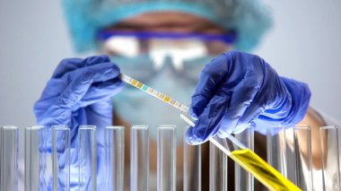 Laboratuar işçisi turnusol kağıdı, idrar testi ile sarı sıvı pH seviyesi ölçümü