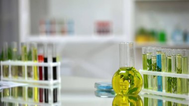 Laboratuvar asistanı nın masasında bitki özü ve renkli sıvılar ile tüpler ve şişeler