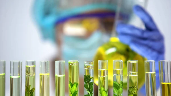 Tubos Laboratorio Con Plantas Verdes Cosméticos Orgánicos Experimento Bioquímico — Foto de Stock