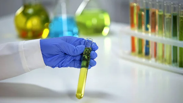 Lab Assistent Bedrijf Buis Met Gele Transparante Vloeistof Extract Voor — Stockfoto