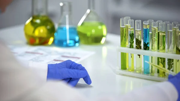 Laboratório Trabalhador Segurando Conta Gotas Com Líquido Amarelo Oleoso Extrato — Fotografia de Stock