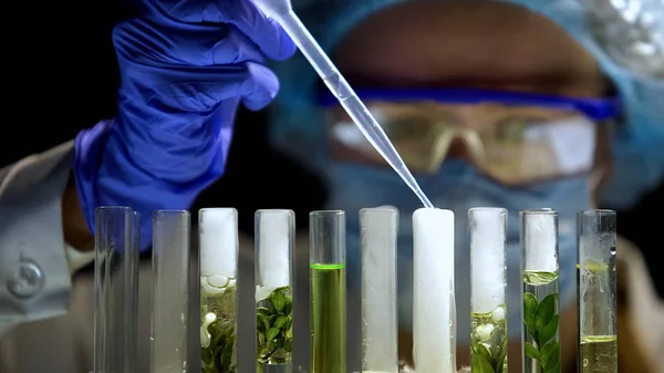 Biochemist Adding Chemical Agent Emitting Smoke Tube Green Plant Lab — Stock Photo, Image