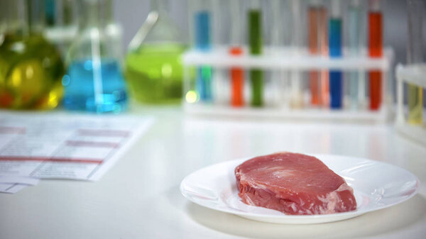 Meat sample lying on plate in scientist laboratory, antibiotic testing, quality