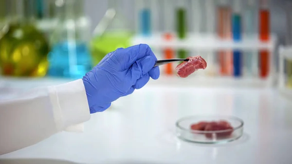 Laboratóriumi Asszisztens Gazdaság Hús Minta Csipesszel Termék Minőség Elemzés Export — Stock Fotó