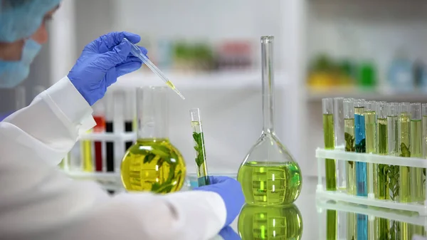 Bioquímico Que Gotea Extracto Aceitoso Planta Del Frasco Los Recursos — Foto de Stock