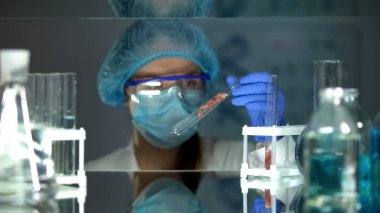 Test tüpünde et örneğine bakan bilim adamı, veteriner hastalık araştırması