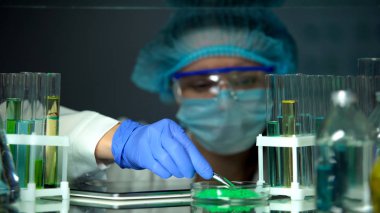 Petri kabından yeşil toz numunesi alan laboratuvar işçisi, deneyler