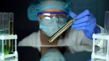 Bilim adamı parfümeri üretimi için tüp sarı yağ çıkarma analiz