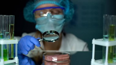 Veterineri Büyüteç parazitleri ile Petri çanak üzerinde et numune incelenmesi