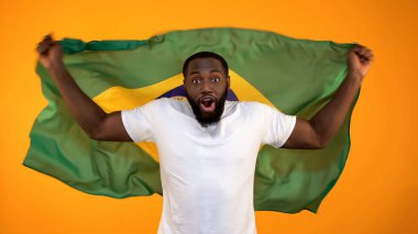 Brezilya bayrağı taşıyan Afro-Amerikan adam, milli spor takımını destekliyor