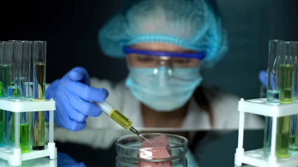 Cientista Injetando Líquido Amarelo Carne Frango Análise Parasitas Infecção — Fotografia de Stock