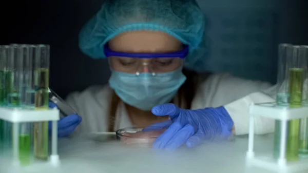 Bilim Adamı Buzdolabından Petri Çanak Örnek Alarak Enfekte Doku Analizi — Stok fotoğraf