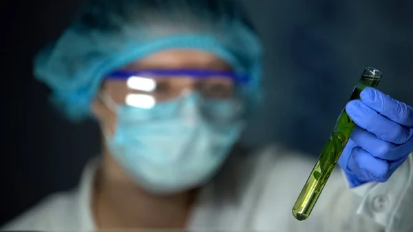 Lab Worker Holding Tube Preserved Green Plant Perfumery Oil Extract — Stock fotografie