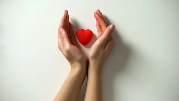 Κόκκινη Καρδιά Γυναικεία Χέρια Λευκό Φόντο Υιοθεσία Έννοια Υγειονομικής Περίθαλψης — Φωτογραφία Αρχείου
