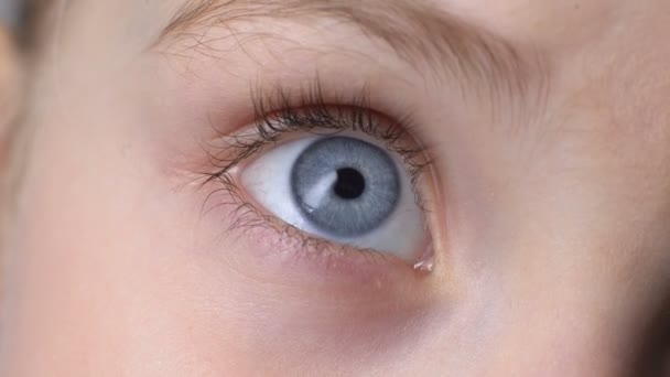 Zbliżenie niebieskie oko dziecka, pojęcie genetyki odziedziczonych cech, niewinny wygląd — Wideo stockowe