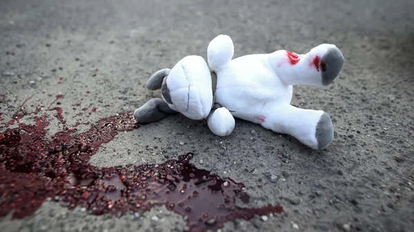 Cão Brinquedo Sujo Deitado Estrada Perto Mancha Sangue Terrível Acidente — Fotografia de Stock