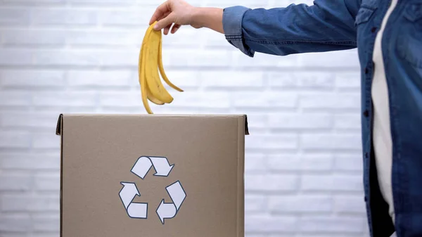 Pessoa Jogando Casca Banana Lixeira Triagem Resíduos Orgânicos Conscientização — Fotografia de Stock