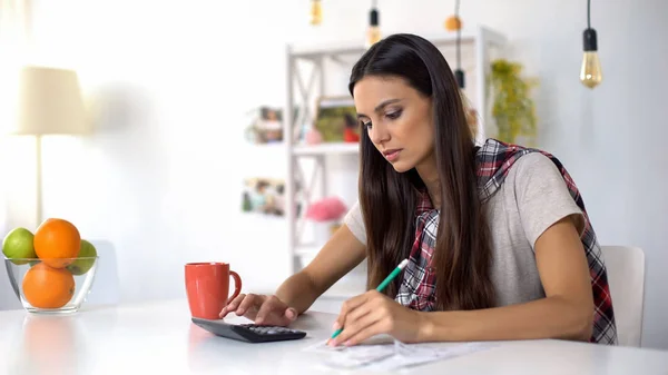 Schöne Dame Plant Haushalt Zählt Einnahmen Und Ausgaben Spart Geld — Stockfoto