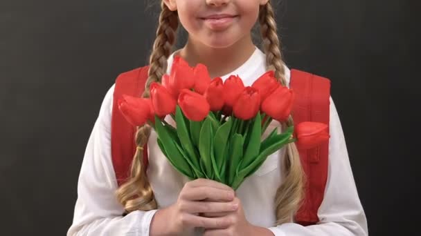 Школярка з рюкзаком тримає купу тюльпанів, святкування дня вчителя — стокове відео