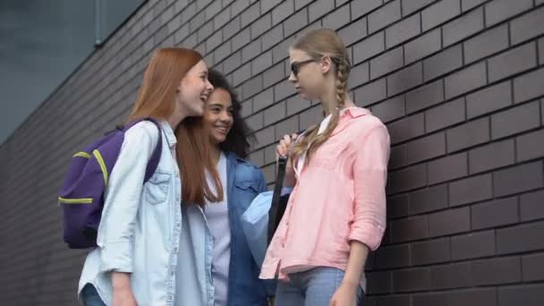 Estudiantes intimidando asustadas colegiala modesta en gafas, amenazante — Vídeo de stock