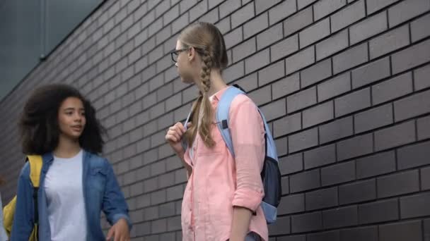 잔인한 청소년 밀어 와 팔꿈치 수줍은 동급생 에 안경 학교 뒤뜰 — 비디오