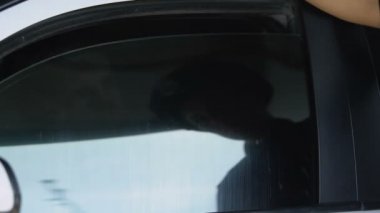 Kadın memur araba camından sürücü belgelerini kontrol ediyor, devriye görevi