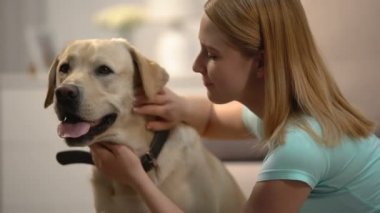 Genç kadın okşayarak ve sevimli labrador köpek, housepet, en iyi arkadaşı sarılma