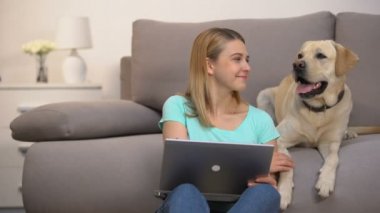 Mutlu labrador retriever kadın sahibi dizüstü bilgisayar kullanarak online köpek maması satın alma