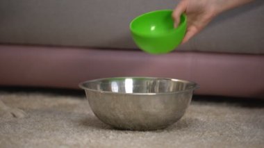 Kadın evcil hayvan sahibi kase içine nitel köpek maması koyarak iyi iştah, beslenme