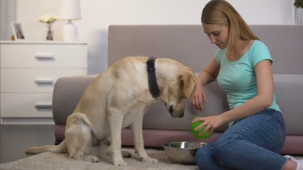 Cuidar do proprietário do animal de estimação colocando comida de cão super premium em tigela, nutrição completa — Vídeo de Stock