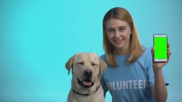 Ευγενική εθελόντρια ζώων με Λαμπραντόρ σκυλί που δείχνει πράσινο τηλέφωνο οθόνη, φιλανθρωπία app — Αρχείο Βίντεο