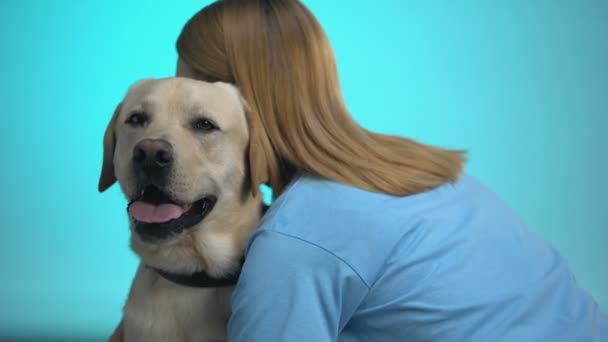 Φροντίδα σκύλου ιδιοκτήτη χαϊδεύοντας και αγκαλιάζοντας χαριτωμένο Λαμπραντόρ κατοικίδιο ζώο, αγάπη για τα ζώα — Αρχείο Βίντεο
