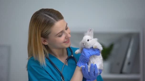 Дружелюбная женщина-врач держит кролика, реклама ветеринарной клиники — стоковое видео
