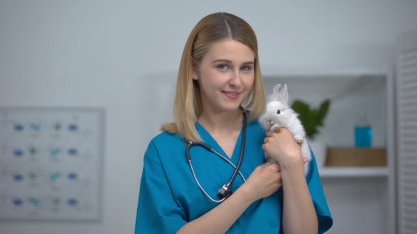 Veterinário feminino alegre segurando coelho, exame de saúde animal de estimação oportuna — Vídeo de Stock