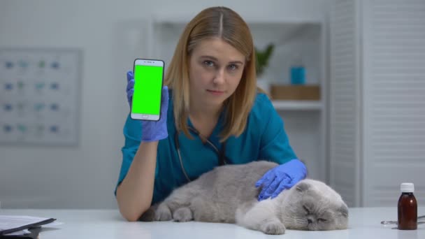 Nő veterán-val macska bemutatás telefon, kisállat egészség app, online vírus elleni oltóanyag beírás — Stock videók