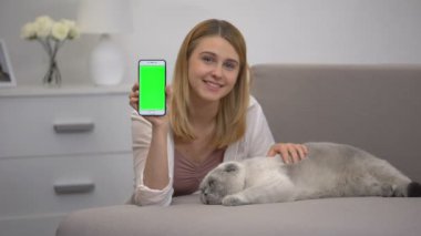 Akıllı telefon tutan kedi ile Neşeli kız, hayvan hayır sitesi için yeşil ekran