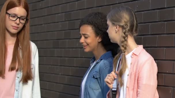 Female teenagers teasing girl in schoolyard, mocking appearance, calling names — Stock Video