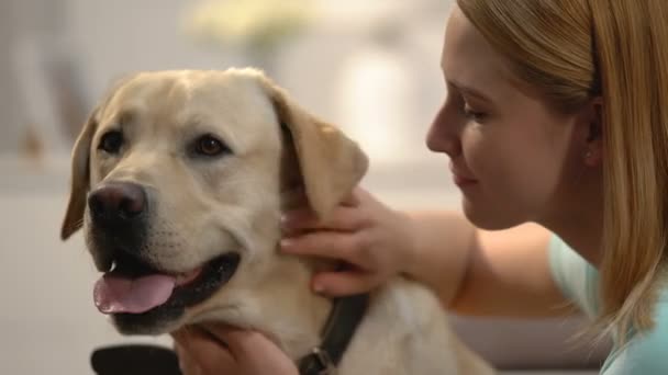 Junge Frau umarmt Hund, emotionale Haustierverbindung, glückliche Labrador-Besitzerin, Liebe — Stockvideo